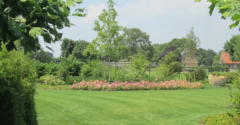 Gazon met groene border in parktuin in Vianen. Tuinaanleg door Uw Tuin Hoveniers uit Malden