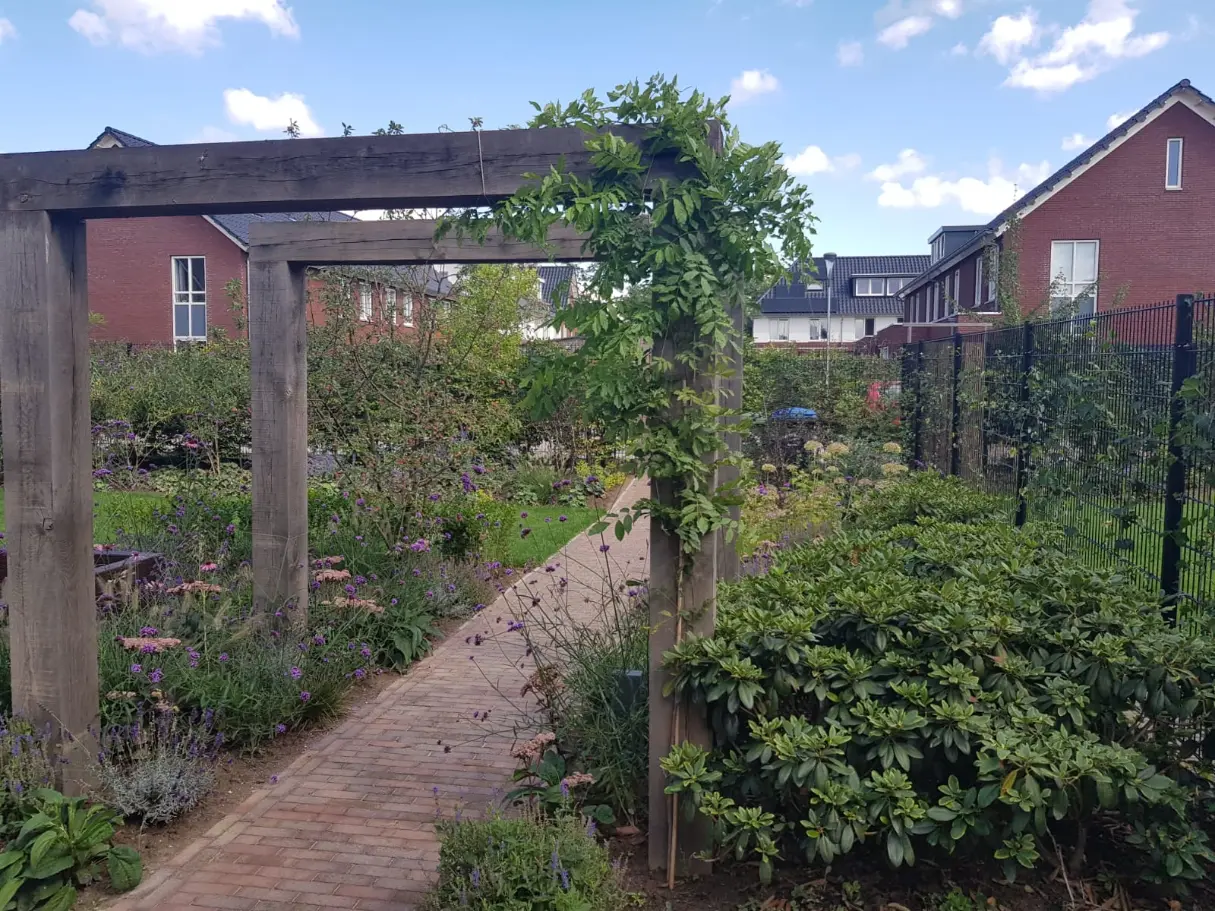 Begroeide pergola in een achtertuin aangelegd door Uw Tuin Hoveniers uit Malden