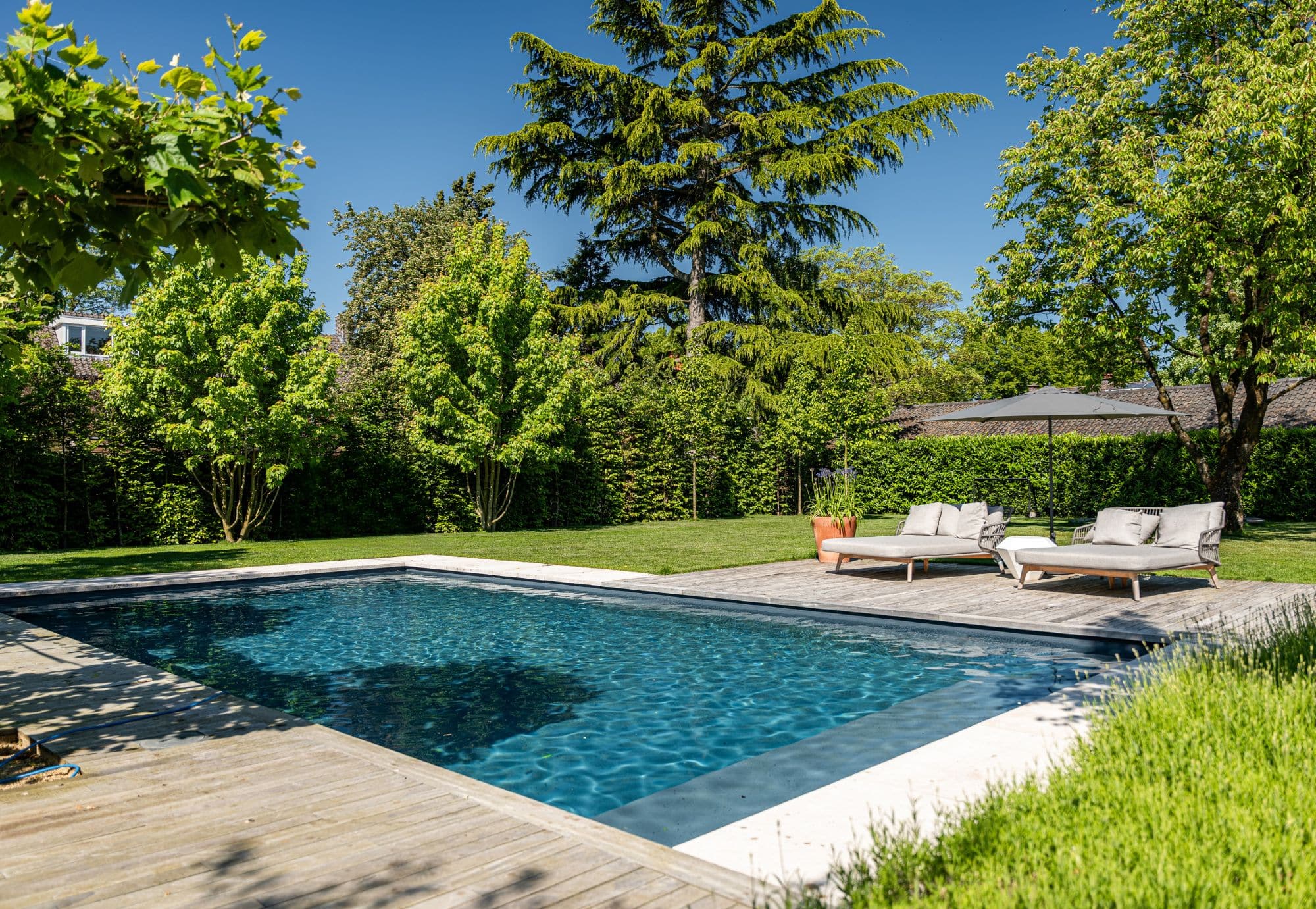 Moderne tuin met zwembad in Nijmegen. Strakke moderne tuin met groot gazon. Vlonderterras met ligbedjes, parasol. Grote bomen voor natuurlijke schaduw. Strak modern zwembad. Heerlijk zwemmen in de zomer. Tuinontwerp en tuinaanleg door Uw Tuin hoveniers uit Malden.