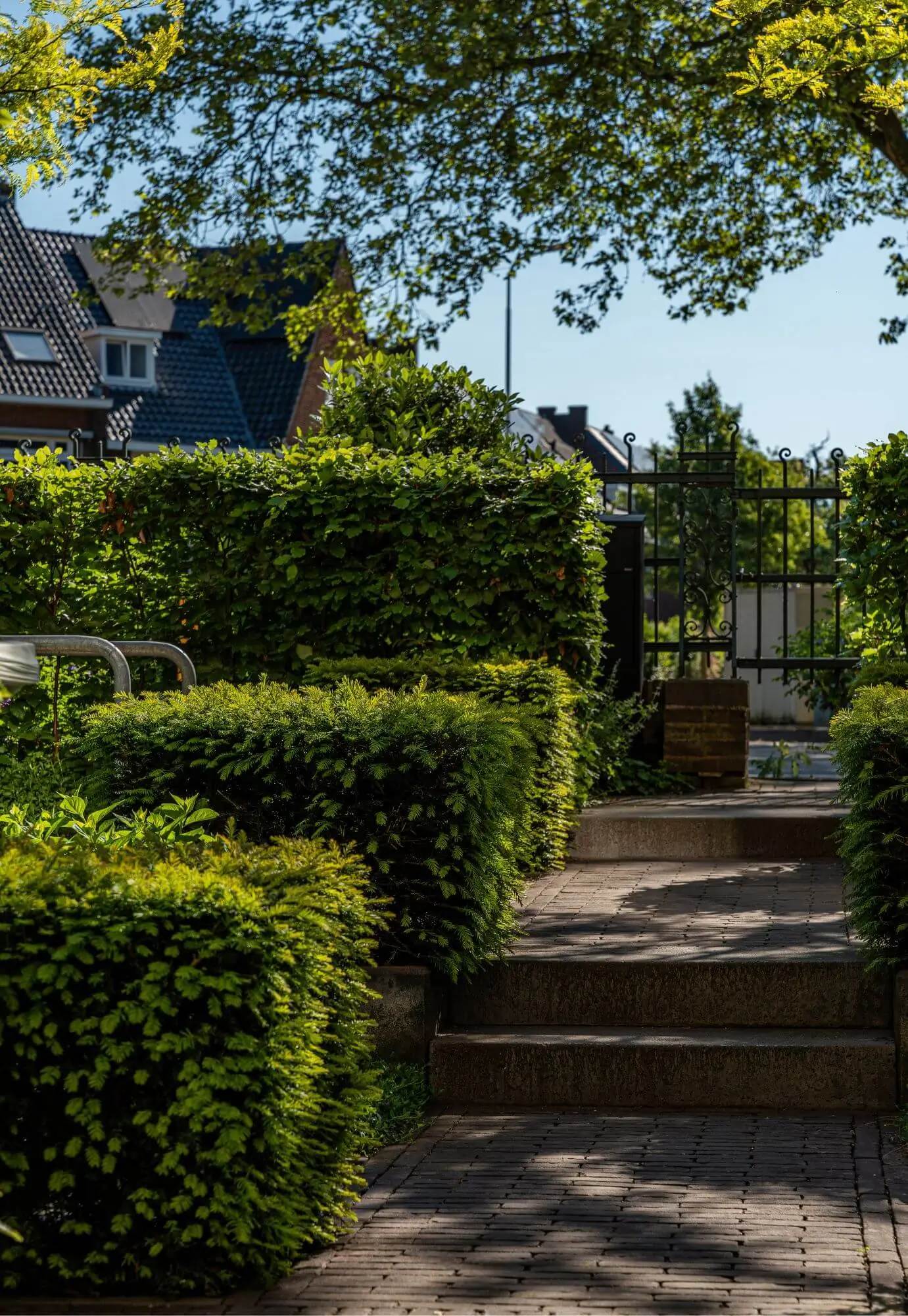 Bestrating van stadstuinen in Nijmegen. Tuinaanleg door Uw Tuin hoveniers uit Malden. Trapelementen, hoogteverschil, groene blokhagen, hekwerk met karakter.