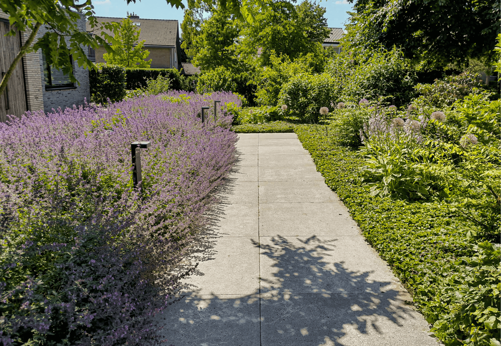 Bestrating in de voortuin van een groene tuin in Nijmegen aangelegd door Uw Tuin hoveniers uit Malden. Schellevis tegels, keramische tegels, betonlook, strak, onderhoudsvriendelijk, betaalbaar, goedkoop, aanleggen, Tuinontwerp, Tuinaanleg, Tuinonderhoud Nijmegen. Hovenier Nijmegen.