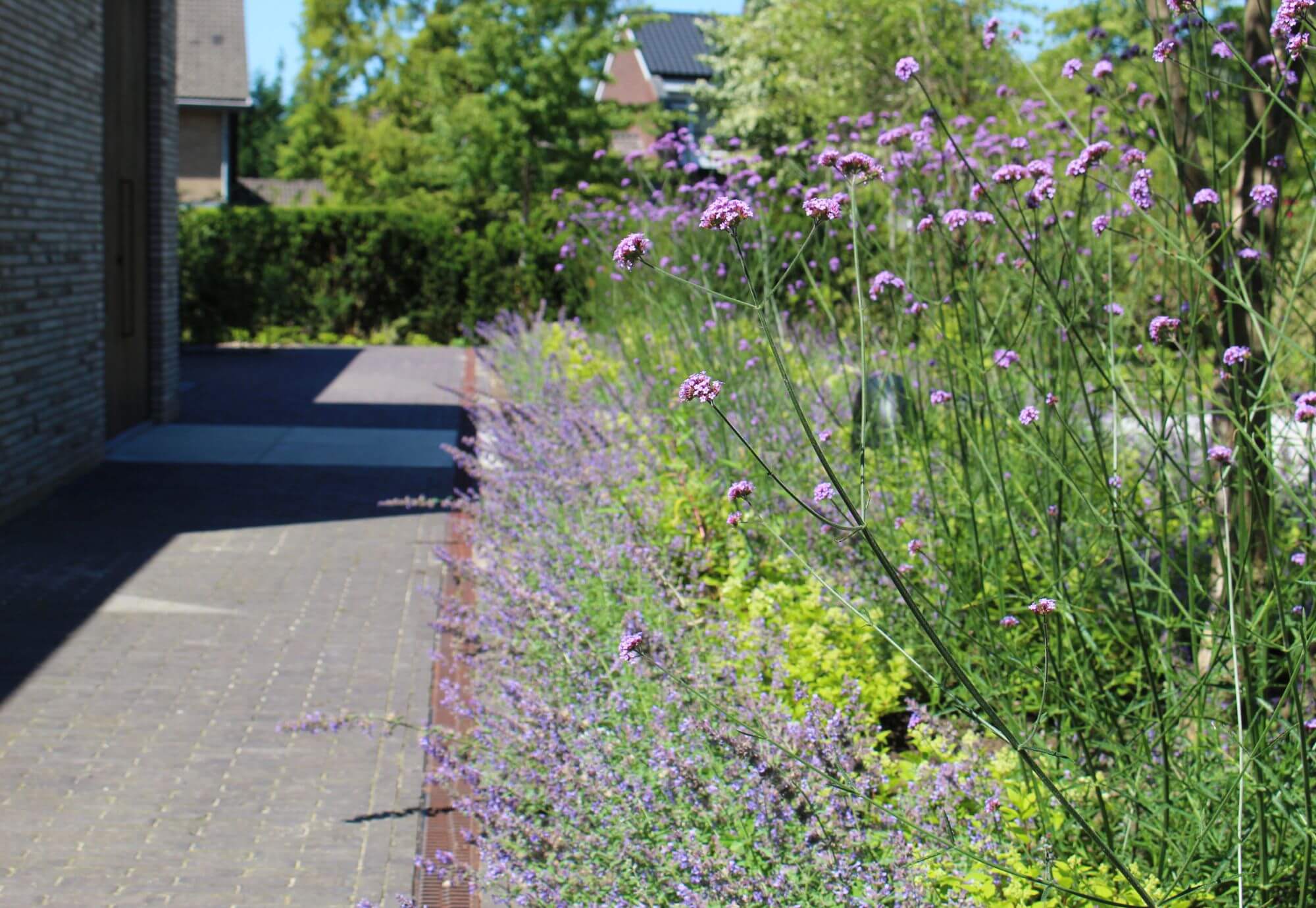 Beplanting in voortuin van moderne tuin in Nijmegen. Tuinaanleg door Uw Tuin Hoveniers uit Malden. Weelderige beplanting, natuurlijk, biodiversiteit. Groene oase tegen strakke materialen.