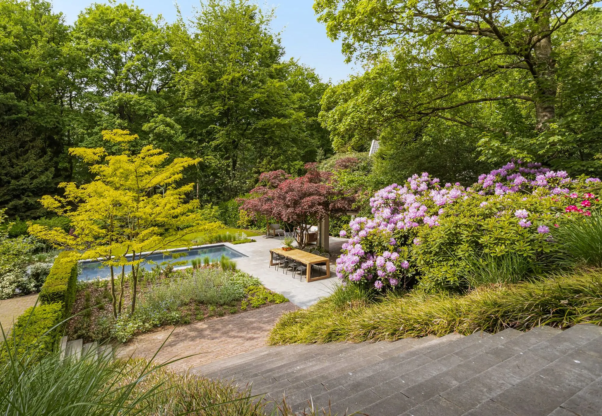 Overizchtsfoto van een Bostuin in Nijmegen. Tuinaanleg en tuinontwerp door Uw Tuin hoveniers uit Malden. Groene oase. Omgeving komt de tuin in. Natuurlijk. Groen is de basis. Overkapping met buitenkeuken en groot terras bij het moderne zwembad.