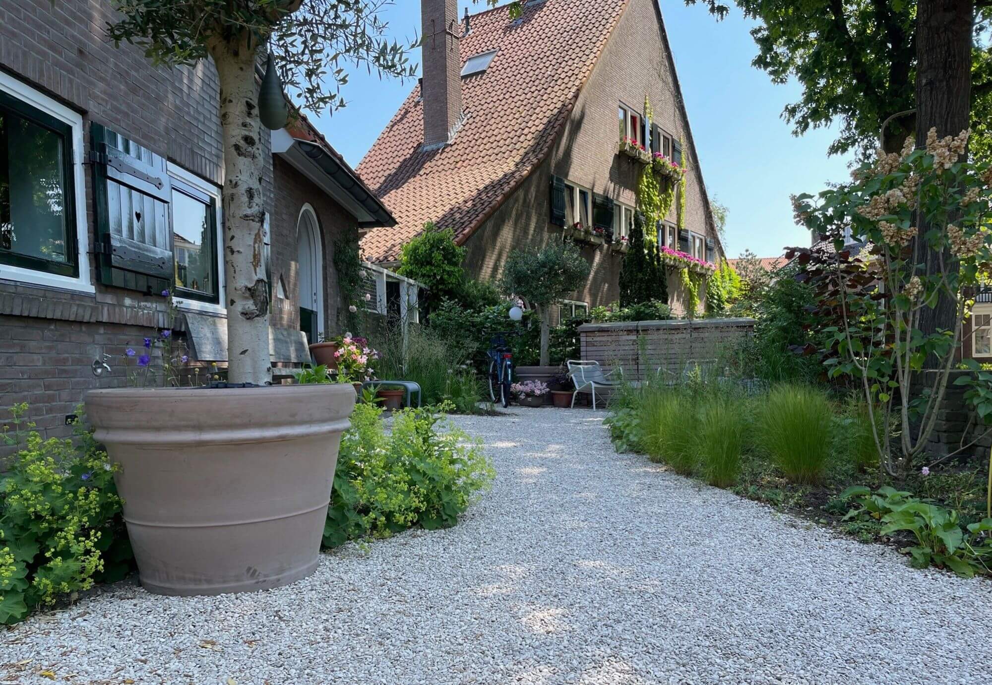Voortuin van een stadstuin in Nijmegen. Aangelegd door Uw Tuin hoveniers uit Malden. Terracotta potten met grote olijfboom, Organische vormen, Grind met cortenstalen opsluiting, Plantenborders met kleurrijke beplanting.