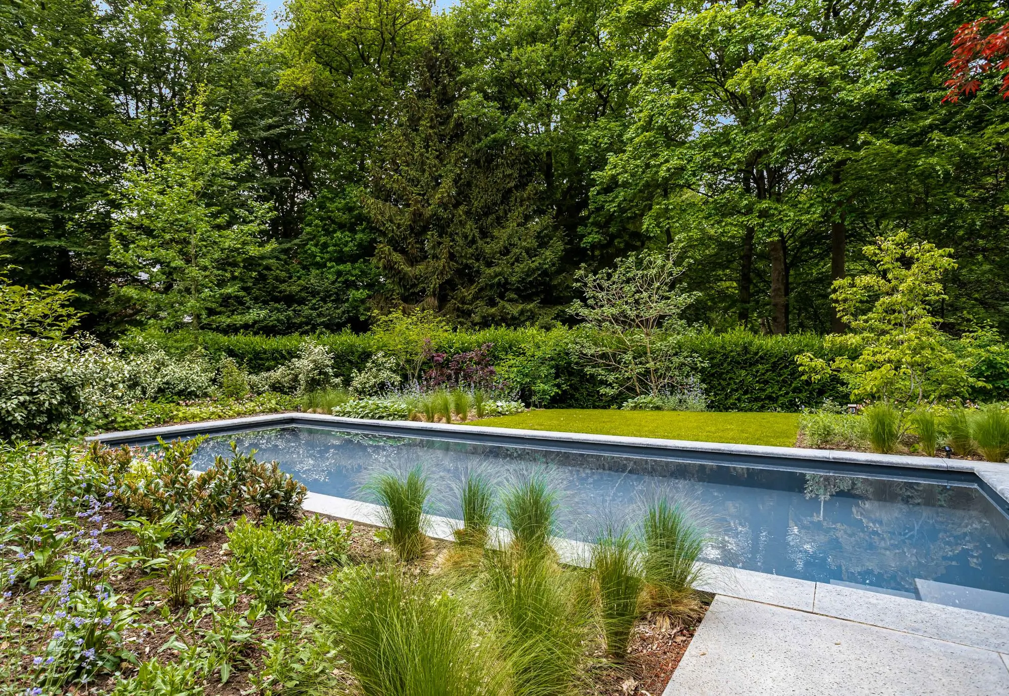 Zwembad in bostuin in Nijmegen. Tuinaanleg door Uw Tuin hoveniers uit Malden. Plantvak met veel beplanting, groot grasveld, Bosrijke omgeving, Bostuin.