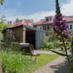 Detail van groen achtertuin in Nijmegen. Aanleg van klassieke tuin in Nijmegen met tuinbank. Tuinontwerp en tuinaanleg door Uw Tuin Hoveniers uit Malden.
