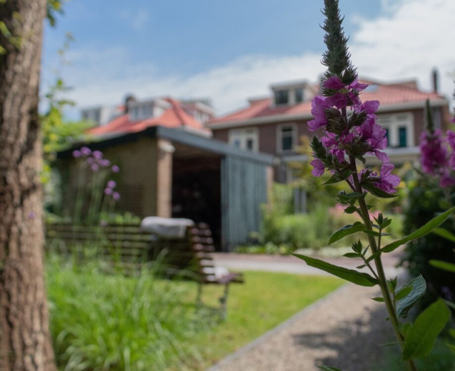 Detail van groen achtertuin in Nijmegen. Aanleg van klassieke tuin in Nijmegen met tuinbank. Tuinontwerp en tuinaanleg door Uw Tuin Hoveniers uit Malden.
