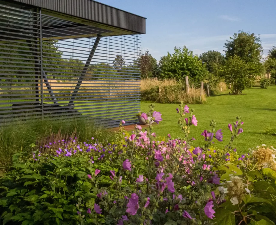 Detail van landschappelijke tuin in Groesbeek. Beplanting in de achtertuin van een landschapstuin in Groesbeek. Deze tuin in ontworpen door de tuinarchitecten van Uw Tuin Hoveniers en aangelegd door de hoveniers van Uw Tuin Hoveniers uit Malden.