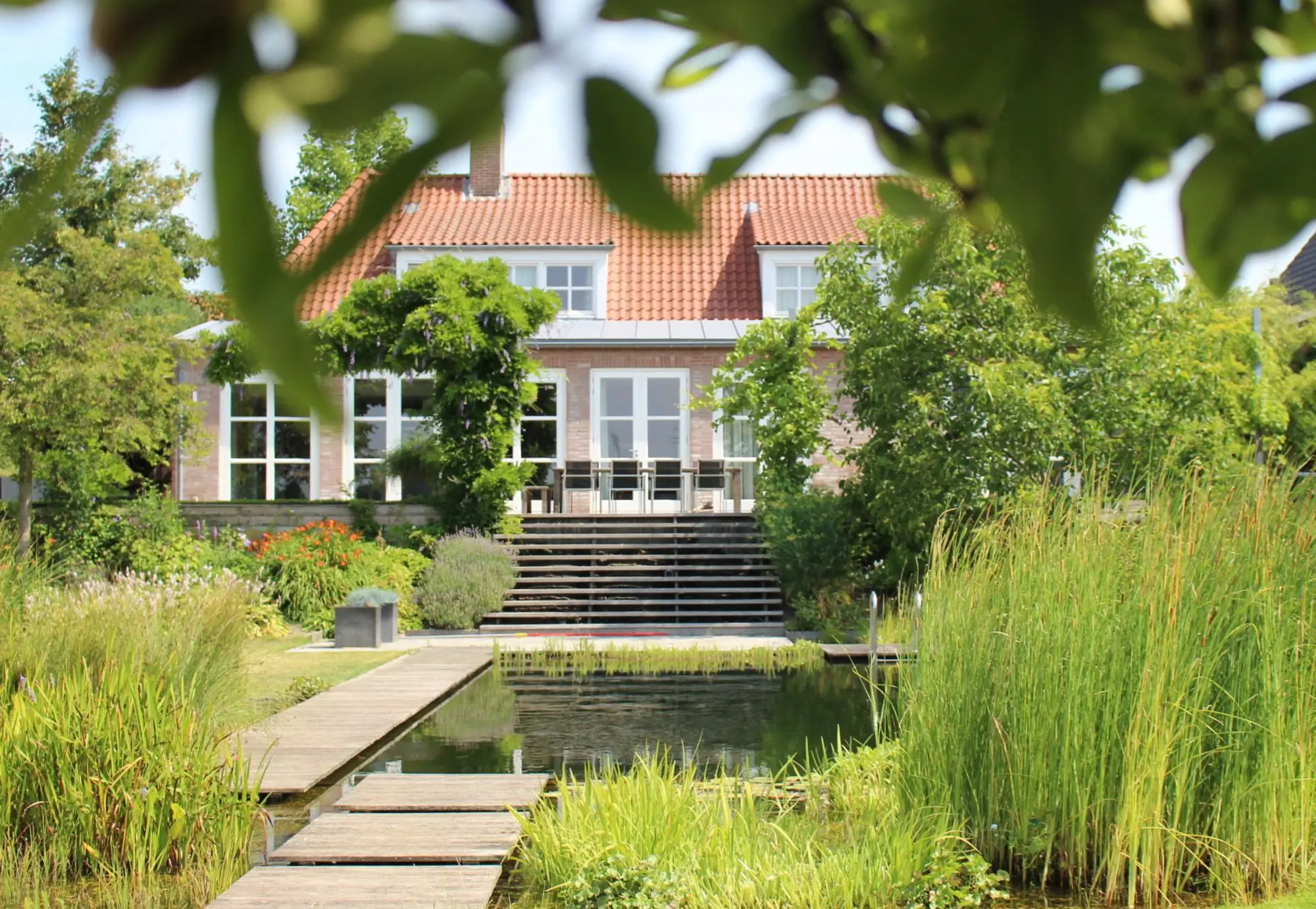 Doorkijk naar woonhuis i Mook. Natuurlijke zwemvijver met strakke vorm, groene oevers, Vlonderpad en staptegels als springplank. Tuinontwerp en tuinaanleg door Uw Tuin hoveniers uit Malden.