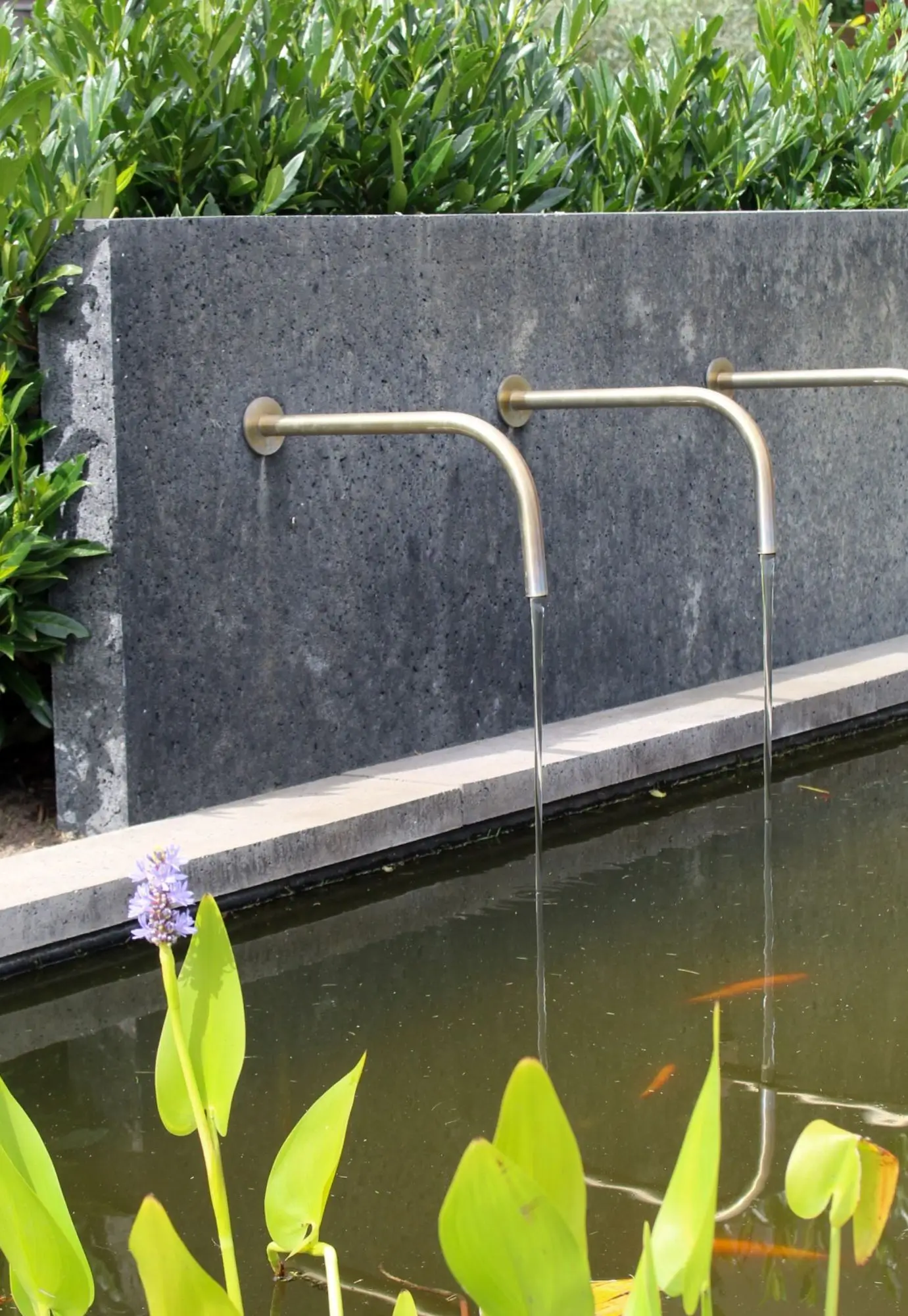 Moderne vijver met vissen en trekt biodiversiteit en waterornament met koperen spuitmonden in een groene moderne tuin in Middelaar.