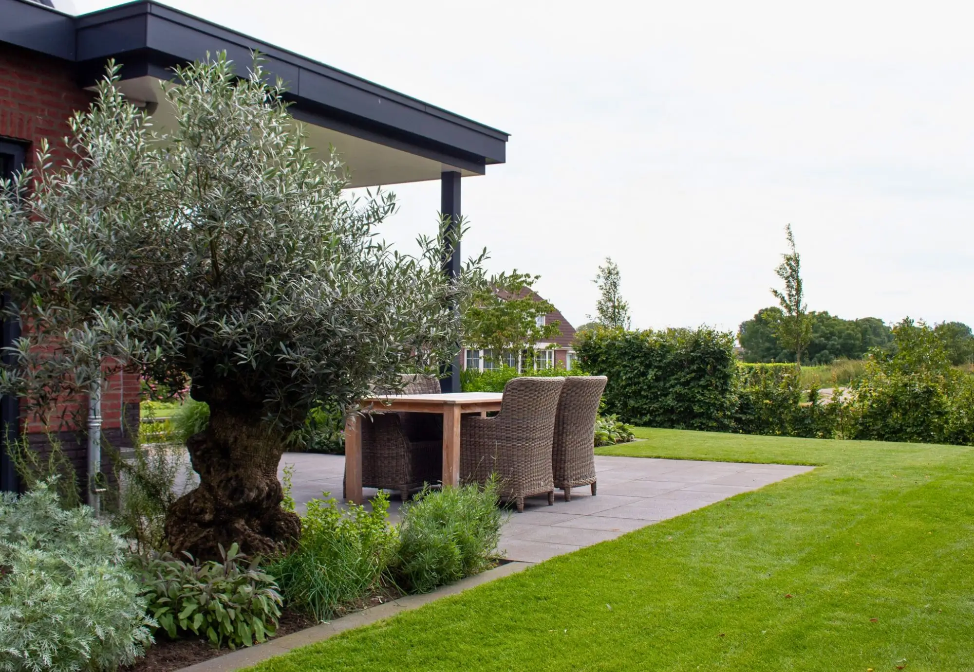 Terras in de achtertuin van een moderne tuin in Middelaar met terrasoverkapping. Vijver in de achtertuin van een moderne tuin in Middelaar met beplanting. Beplanting in de achtertuin van een moderne tuin in Mook. Deze tuin in ontworpen door de tuinarchitecten van Uw Tuin Hoveniers en aangelegd door de hoveniers van Uw Tuin Hoveniers uit Malden.